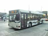 嶼巴 NLB New Lantao Bus Company (1973) Limited