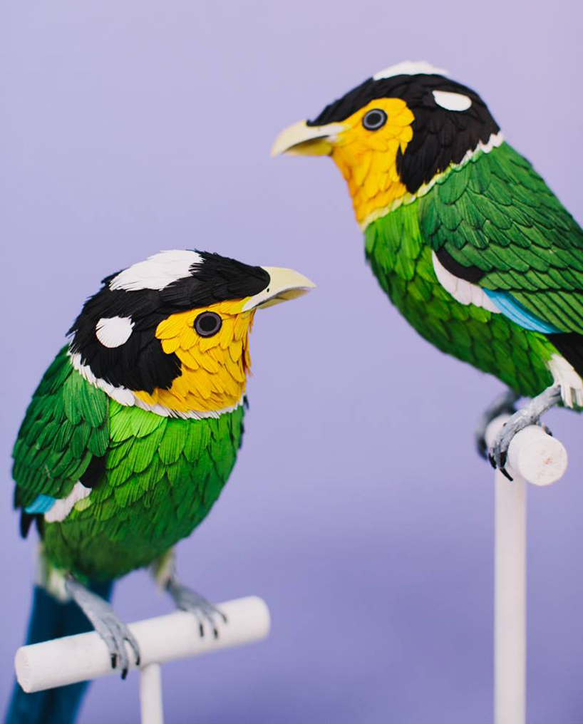 diana-beltran-herrera-paper-aviary-birds-designboom-04
