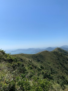 4) 馬鞍山 稜線