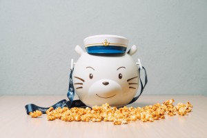 Whiskers Popcorn Case Set
