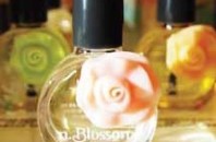 ネイルケアシリーズ商品「n.Blossom」中環(セントラル)