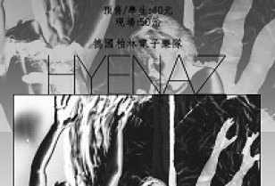 ドイツのテクノバンド「HYENAZ」広州ライブ