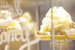 韓国発アイスクリーム「Softree」がコーズウェイベイに出店