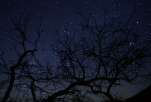 星がきれいに見える場所 阿婆六村